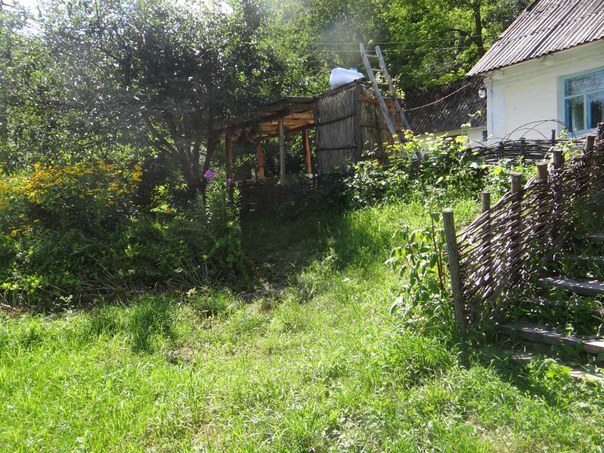 Gasthaus Maliovnytsya Dybintsy Exterior foto