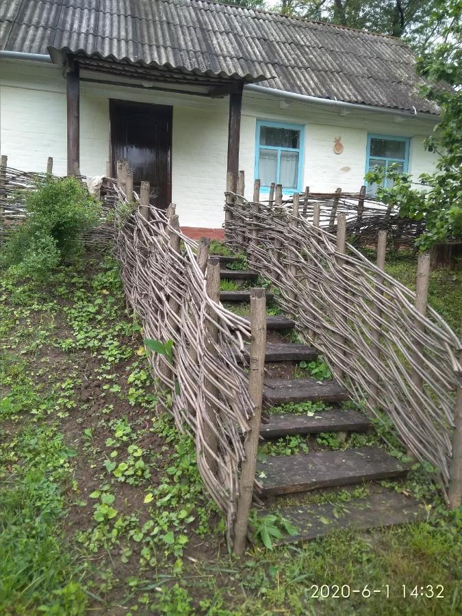 Gasthaus Maliovnytsya Dybintsy Exterior foto